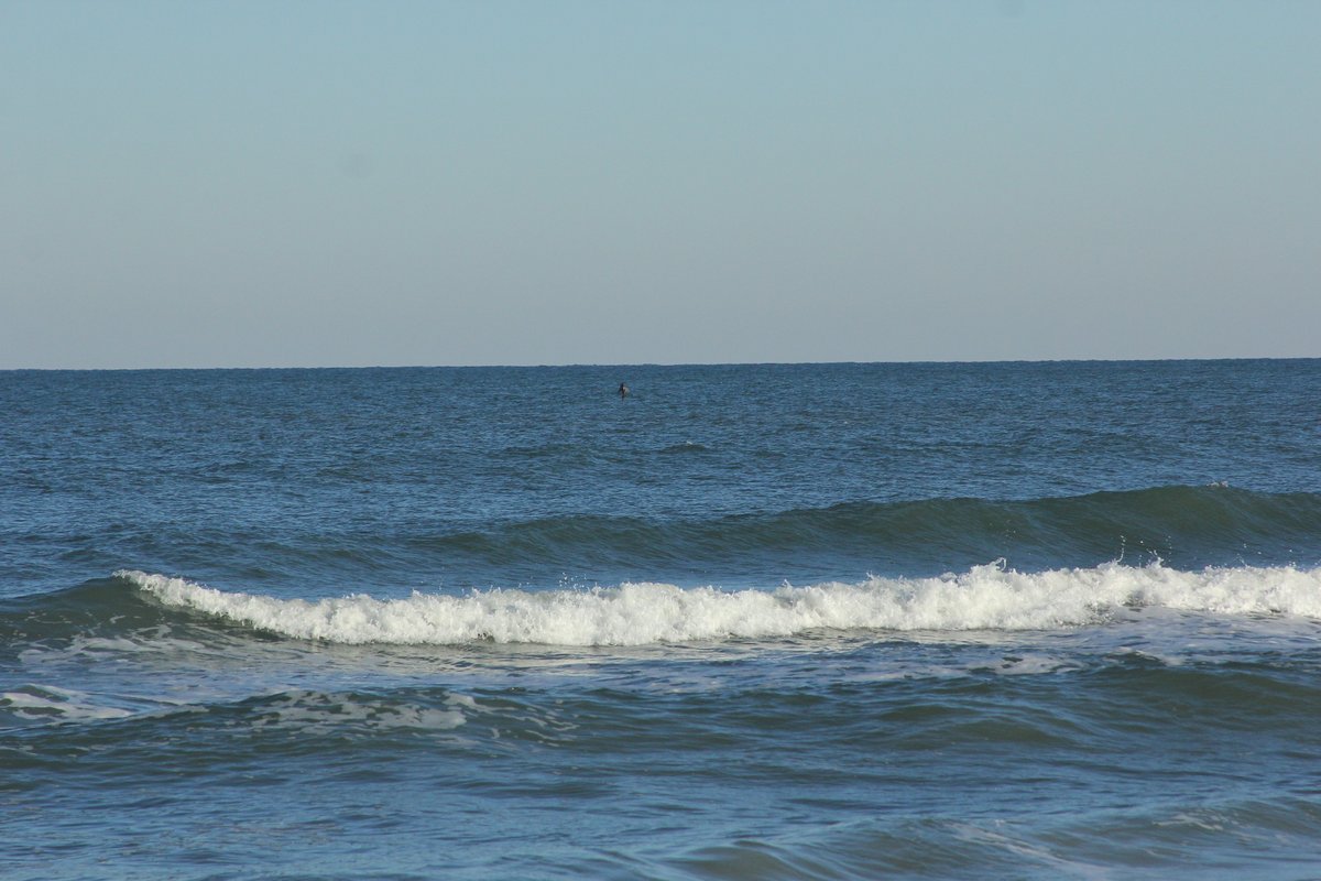 Surf Station | Updated St. Augustine FL Surf Report, Blog Media Site