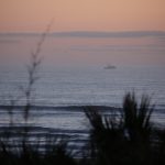 Tuesday Afternoon @ St. Augustine Beach