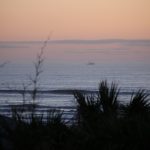 Tuesday Afternoon @ St. Augustine Beach