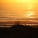 Tuesday Afternoon @ St. Augustine Beach