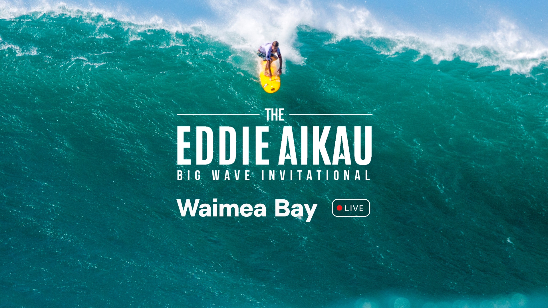 Eddie Aikau Memorial Big Wave Invitational Surf Station Surf Report