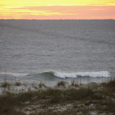 Tuesday 11/28/23 Dawn Patrol