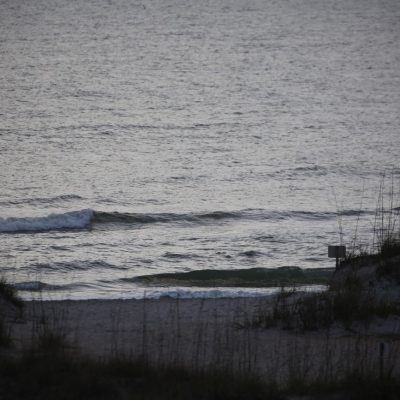 Monday 1/15/24 Dawn Patrol