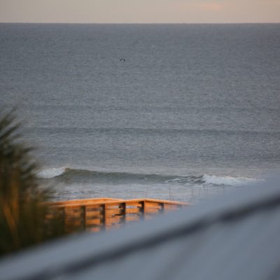 Friday 1/19/24 Dawn Patrol