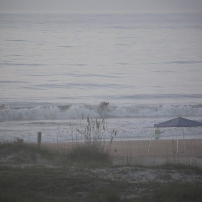 Monday 7/22/24  Dawn Patrol